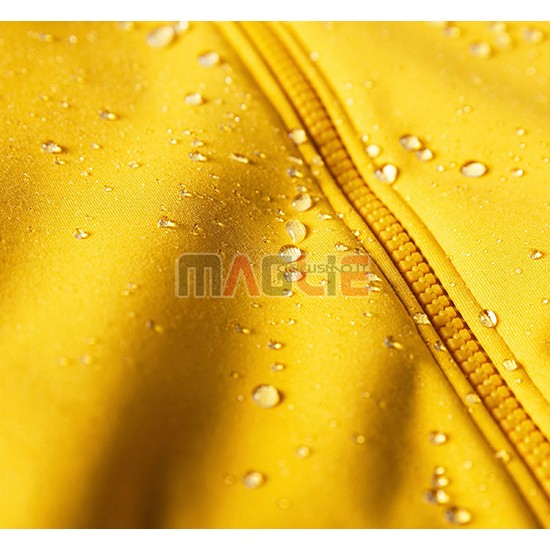 Maglia La Passione Manica Lunga 2019 Giallo Grigio